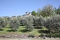 VBS_7169 - PressTour educational dedicato ai vini del Pinerolese e all’olio prodotto sulla collina di Pinerolo